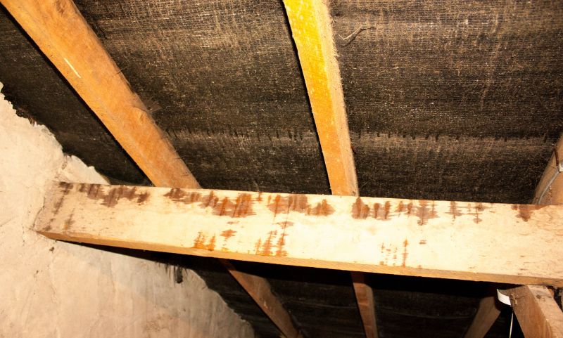 Ceiling Leak Repair Service in Houston, TX